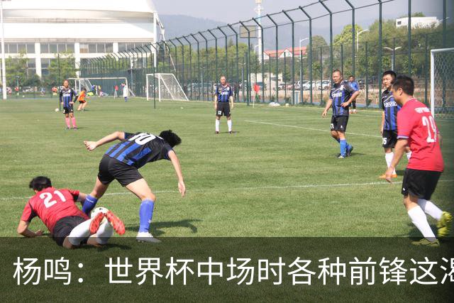 杨鸣：世界杯中场时各种前锋这渴了那饿了全来了 谁能记住后卫呢