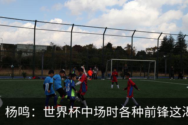杨鸣：世界杯中场时各种前锋这渴了那饿了全来了 谁能记住后卫呢